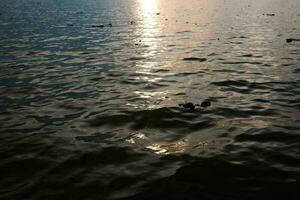 bestemming van mooi silhouet en schemering van zonsondergang weerspiegeld licht Aan de water oppervlakte en glinsterende golven in de rivier- foto