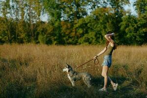 vrouw en haar schor hond gelukkig wandelen en rennen in de gras in de veld- glimlach met tanden herfst zonsondergang wandelen met een huisdier, op reis met een vriend hond geluk foto