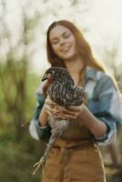 een gelukkig jong vrouw glimlacht net zo ze looks in de camera en houdt een jong kip dat legt eieren voor haar boerderij in de zonlicht. de concept van zorgzaam en gezond gevogelte foto