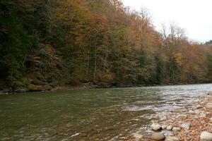 rivier- bergen herfst Woud landschap vers lucht natuur foto