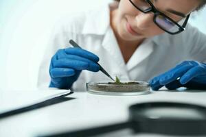 vrouw laboratorium assistent bioloog bodem Onderzoek biotechnologie foto