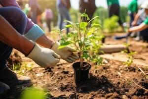 aanplant bomen voor duurzame voedsel productie gemaakt met generatief ai technologie. foto