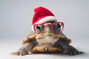 grappig schildpad in de kerstman hoed Aan wit achtergrond. vrolijk Kerstmis concept. generatief ai foto