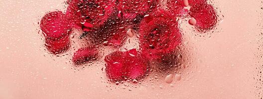 bloemen onder glas met water druppels. rood rozen Aan roze banier en blobs patroon foto