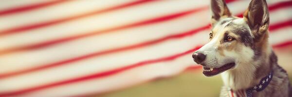 schattig hondje Aan Amerikaans vlag spandoek. onafhankelijkheid dag of vlag dag. generatief ai illustratie foto