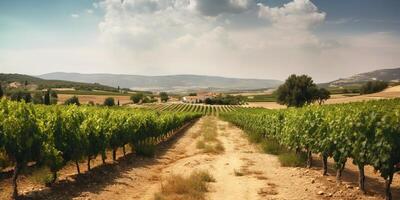 ai gegenereerd. ai generatief. wijngaard Bij zuiden Frankrijk provence. wijn fabriek tuin oogst. romantisch kom tot rust kilte uitstraling. grafisch kunst foto