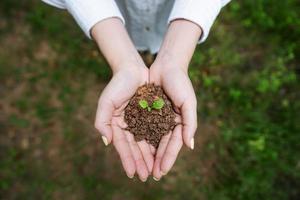 aarde redden en bomen planten foto