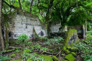 stoffelijk overschot van de vernietigd huizen van de wapen stad- gedekt door bomen en natuur na 37 jaren van de tragedie veroorzaakt door de nevado del ruiz vulkaan in 1985 foto