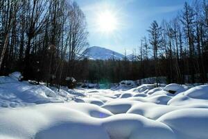 sectie van de rivier- vrij van sneeuw en ijs. de natuur van Baikal. foto