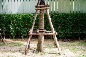 bomen ondersteund door het hout tijdens de kraamperiode in het buitenpark foto