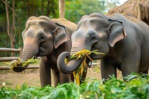 Azië olifanten familie wandelen in de natuurlijk park, dier dieren in het wild leefgebied in de natuur Woud, mooi van leven, enorm lichaam een deel, grootste zoogdier, met generatief ai. foto