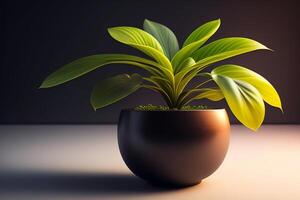 groen fabriek in zwart pot Aan houten tafel. generatief ai. foto