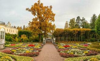 herfst visie van de tuin van keizerin Maria feodorovna in de buurt de pavlovsk paleis in pavlovsk. Rusland. foto