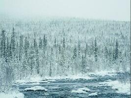 verbazingwekkend winter landschap met een rivier- tussen met sneeuw bedekt heuvels gedekt met naald- Woud foto