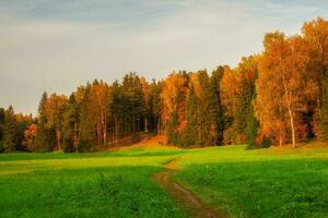 een pad door de veld- naar de herfst Woud. foto