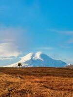 mooi verticaal visie van een landschap met breed uitgestrektheid en een foto