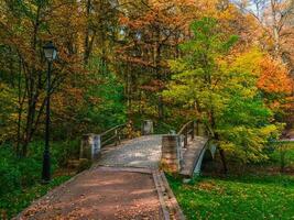 herfst spoor in zonnig park. gedaald rood bladeren Aan een oud steen brug in de park. foto