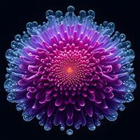 verbazingwekkend chrysant met water plons en druppels, generatief ai foto