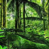 tropisch oerwoud landschap. generatief ai foto