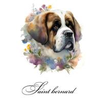 waterverf ai gegenereerd illustratie van een single hond ras heilige Bernard met bloemen. gids hond, een onbekwaamheid bijstand hond. waterverf dier verzameling van honden. hond portret. illustratie van huisdier. foto