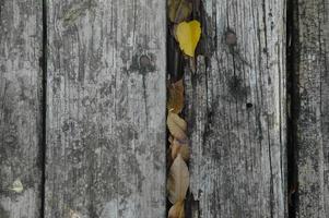 achtergrondstructuur met oud hout en gele herfstbladeren foto