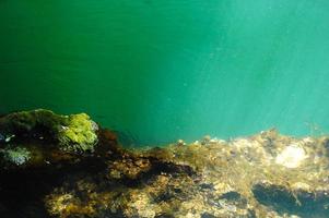 onderwaterwereld in de zee met helder blauw transparant water foto