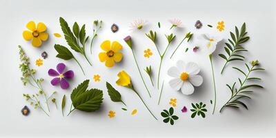 vlak leggen illustratie zonnebloemen concept van vers veld- voorjaar bloemen Aan wit geïsoleerd achtergrond. mooi bloemen decoratief element reeks verzameling. generatief ai. foto