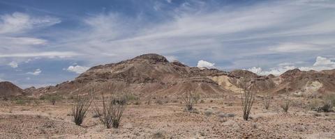 woestijn van baja california met bergen, bomen, zand en vegetatie blauwe bewolkte hemel foto