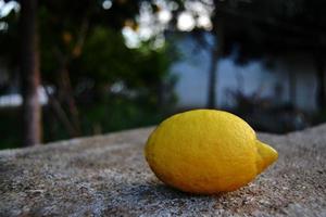 de gele citroen op een muur