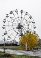reuzenrad met felgele herfstboom tegen de grijze lucht foto
