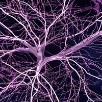 neuron cel netwerk model. generatief ai foto