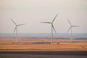 een veld- met wind turbines foto