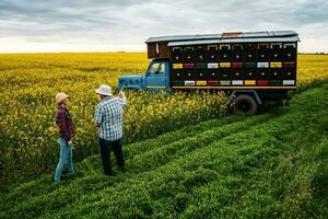 imkers staand in voorkant van de vrachtauto met bijenkorven foto