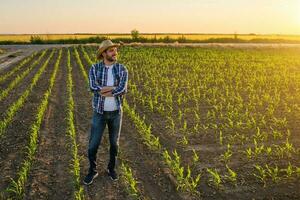 boer staand in een maïs veld- foto