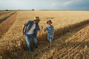 vader en zoon zijn staand in hun tarwe veld- foto