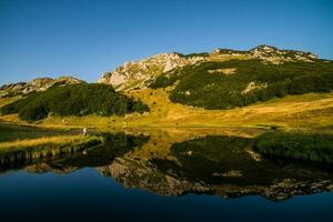 mooi toneel- bergen foto