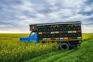 een vrachtauto met bijenkorven foto