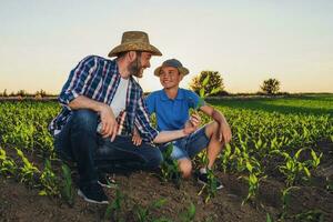 vader en zoon staand in een maïs veld- foto