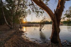 athalassa meer cyprus met prachtig verlicht water en bomen op een mooie zonnige middag foto