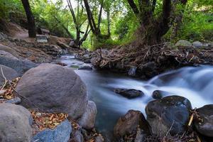 zuivere waterstroom met soepele stroming over rotsachtig bergachtig terrein in het kakopetria-bos in troodos, cyprus