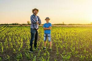 vader en zoon staand in een maïs veld- foto