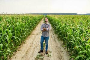 trots boer is staand in zijn groeit maïs veld- foto