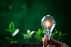 concept van hernieuwbaar energie innovatie en groen aarde. duurzame schoon energie bronnen. milieu bescherming, idee duurzame energie bronnen. hand- Holding licht lamp Aan groen natuur achtergrond. foto