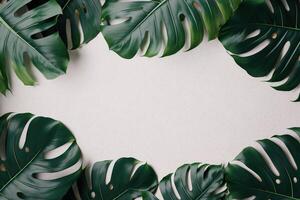 groen bladeren monstera natuur kader lay-out van tropisch fabriek struik Aan wit achtergrond. ai gegenereerd foto