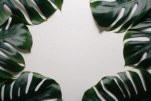 groen bladeren monstera natuur kader lay-out van tropisch fabriek struik Aan wit achtergrond. ai gegenereerd foto