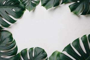 groen bladeren monstera natuur kader lay-out van tropisch fabriek struik Aan wit achtergrond. ai gegenereerd foto