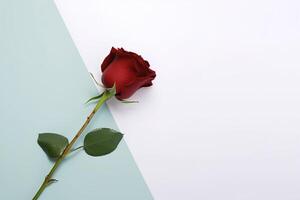 mooi rood roos net zo een symbool van liefde Aan pastel achtergrond. ai gegenereerd foto