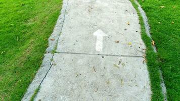 beton wandelen pad. Daar was een wit pijl lijn gaan naar voren. weelderig groen gras groeide Aan beide kanten. foto