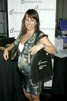 Constance zimmer gbk emmy schenken suite Hollywood roosevelt hotel los angeles ca september 14 2007 2007 kathy hutjes hutjes foto