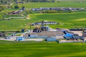 antenne panoramisch visie Aan agro-industrieel complex met silo's en graan drogen lijn voor drogen schoonmaak en opslagruimte van ontbijtgranen gewassen foto